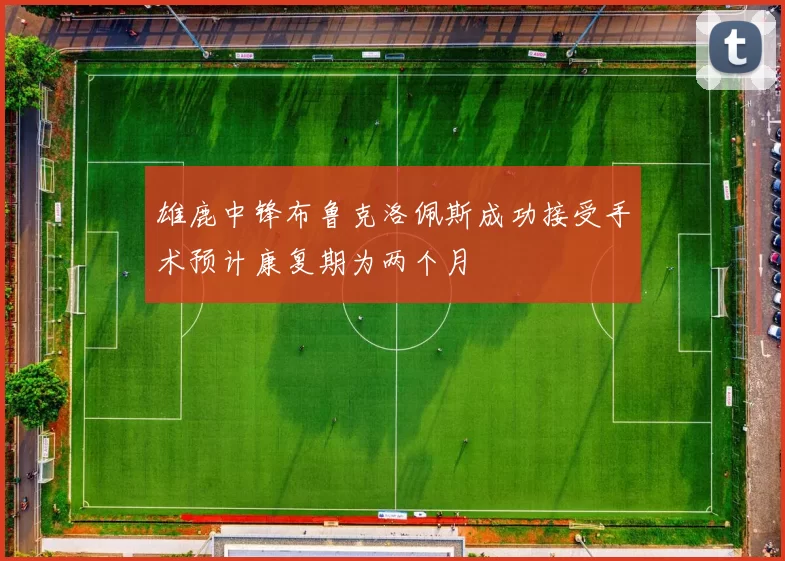 雄鹿中锋布鲁克洛佩斯成功接受手术预计康复期为两个月