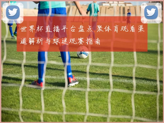 世界杯直播平台盘点 聚体育观看渠道解析与球迷观赛指南