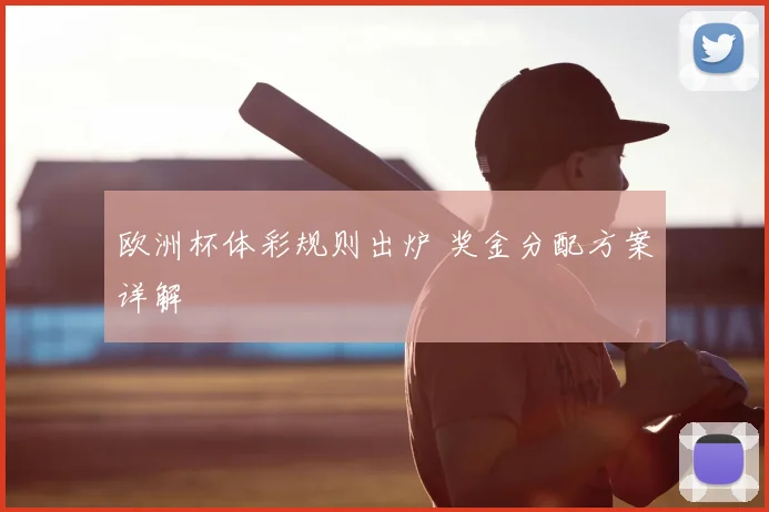 欧洲杯体彩规则出炉 奖金分配方案详解
