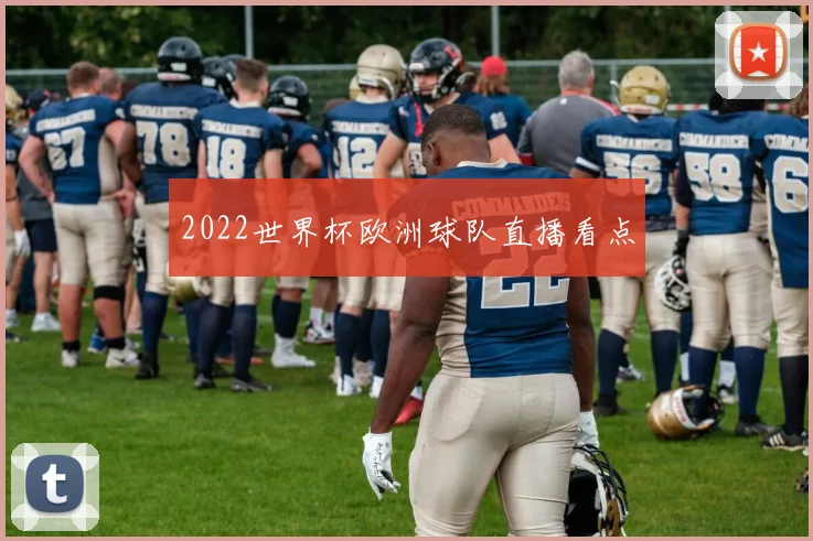 2022世界杯欧洲球队直播看点