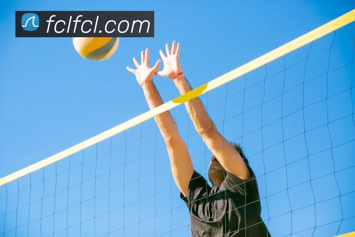 App Interface Preview