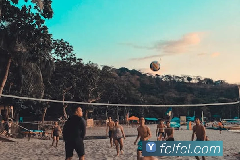 beat·365(中国)在线唯一官方网站APP 封面图